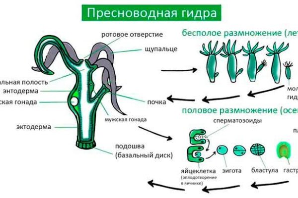 Как зайти на кракен