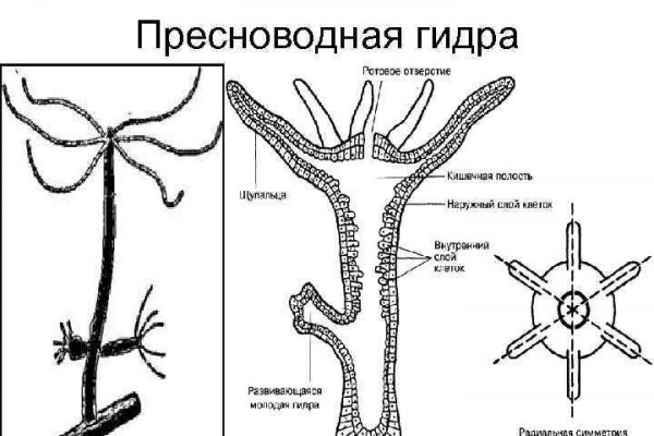 Проблемы со входом на кракен