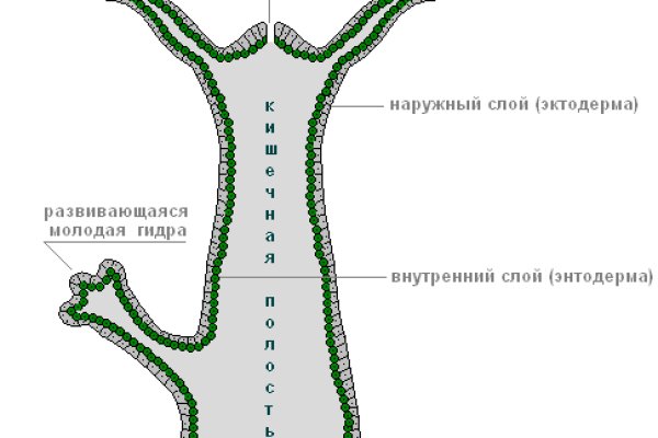 Кракен купить гашиш