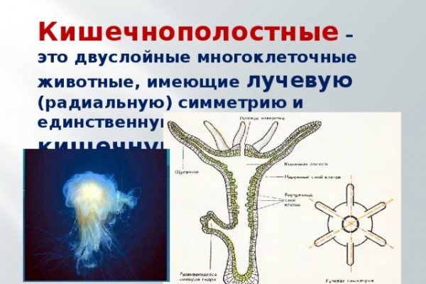 Кракен верификация