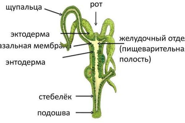 Кракен новое зеркало